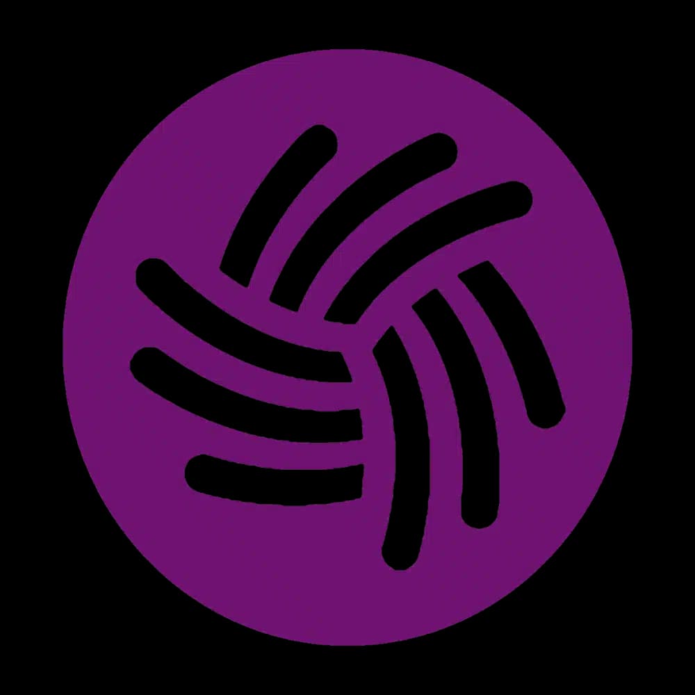 ServiceNet Inc